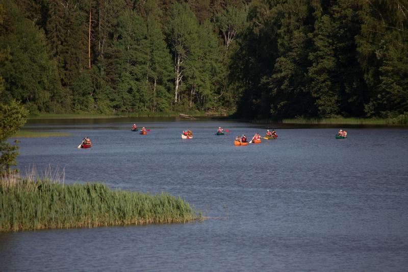 Palikaisista tullaan.