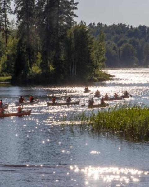 melojia aurinkoisella joella